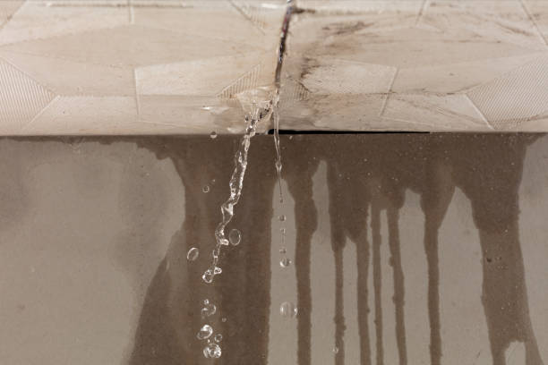 Professional Burst Pipe Cleanup technician working in Laramie, WY